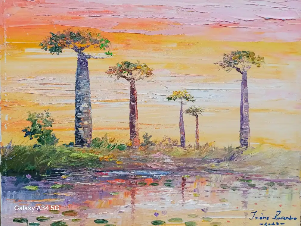 Baobabs au coucher du soleil